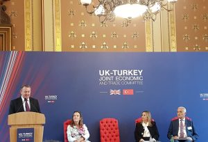 İngiltere ve Türkiye'de Yatırım ve Üçüncü Pazarlarda İş Birliği