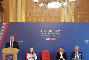 İngiltere ve Türkiye'de Yatırım ve Üçüncü Pazarlarda İş Birliği