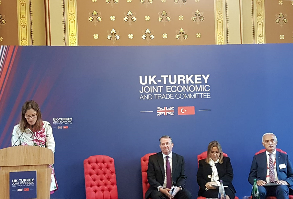 İngiltere ve Türkiye'de Yatırım ve Üçüncü Pazarlarda İş Birliği